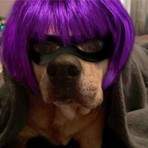 Meet your Posher, Heidi